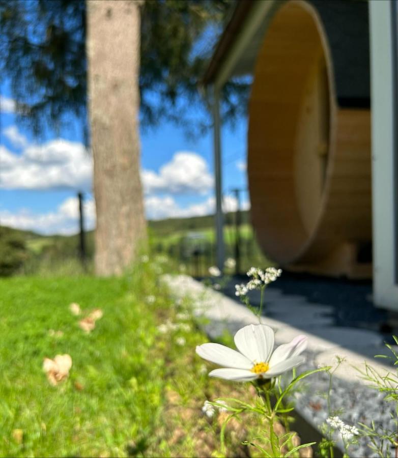 Chalet Panor'Anna St. Vith Екстер'єр фото
